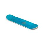Skateboard Deck Hydroponic DBZ Collab Kame Sennin