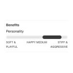 Boots Snowboard BURTON - Men's - ION BOA Black W26