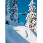 Placa Snowboard BURTON - Men's - CUSTOM Camber JUNGLE 2027