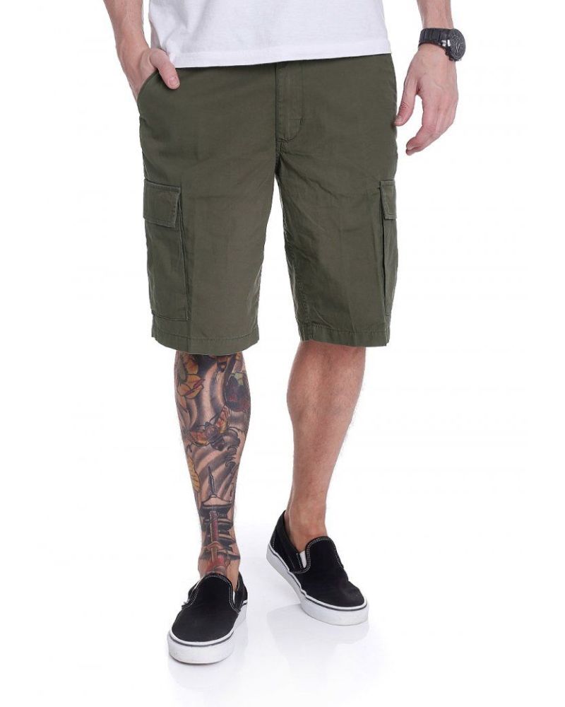 Pantaloni Scurti Vans Tremain Shorts Grape Leaf Green 28