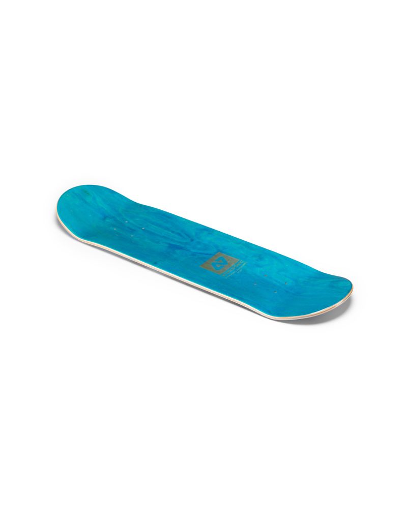 Skateboard Deck Hydroponic DBZ Collab Kame Sennin
