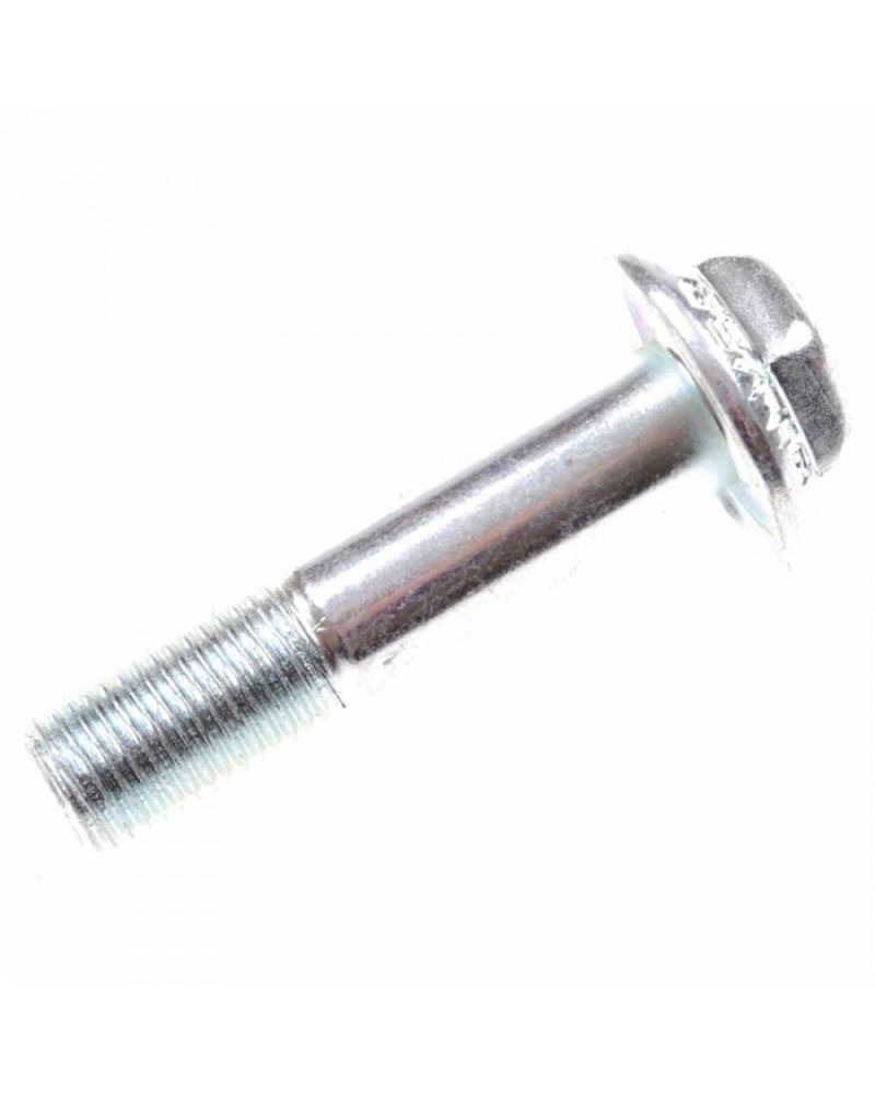 Surub Skate Silver Kingpin