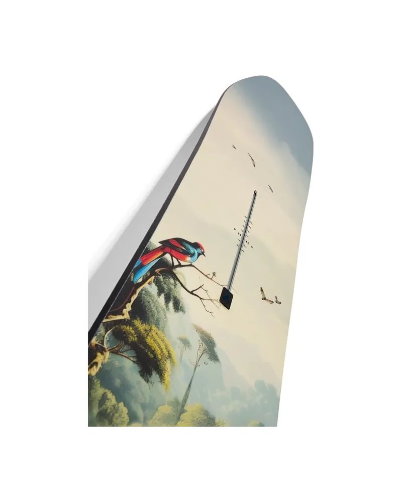 Placa Snowboard BURTON - Men's - CUSTOM Flying V JUNGLE W26 x Legaturi Snowboard CLEW Independence 1.0 2026 - Black