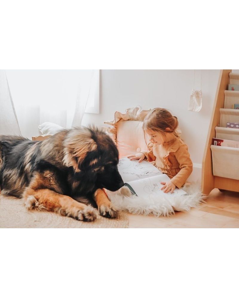 Ham Ski Snowboard Copii MDX One OX Red